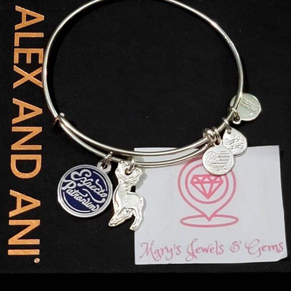 Alex and Ani Harry Potter Expecto Patronum Duo Charm Bangle - Picture 1 of 5